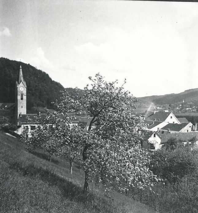 eika image